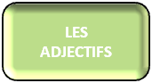 Les Adjectifs en espagnol : Le genre des adjectifs, les adjectifs possessifs, démonstratifs, indéfinis, les adjectifs numéraux ordinaux et cardinaux, les adjectifs numéraux collectifs et distributifs en espagnol