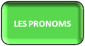 Pronoms personnels, pronoms démonstratifs, pronoms indéfinis, pronoms tantôt adjectifs, pronoms possessifs, pronoms réfléchis, pronoms relatifs, pronom complément Y, traduction de on, traduction de vous en espagnol